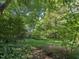 Private backyard oasis with lush greenery, fenced perimeter, and mature trees creating a tranquil and secluded atmosphere at 2400 Fairview Rd, Raleigh, NC 27608