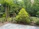 Beautifully landscaped backyard featuring lush greenery, flowering plants, and a stone patio at 3600 Trail 23 St, Durham, NC 27707