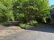 Long driveway lined with lush greenery at 3600 Trail 23 St, Durham, NC 27707