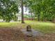 Spacious backyard with an outdoor fire pit area, mature trees, and a fenced perimeter at 5801 Hadrian Dr, Durham, NC 27703