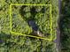 Aerial view of a property with lush mature tree cover at 6817 Guess Rd, Hillsborough, NC 27278