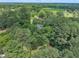 An overhead shot features a house enveloped by mature trees, offering a sense of seclusion at 705 Wilsons Mills Rd, Smithfield, NC 27577