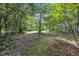 A lush backyard features a mossy pathway, surrounded by dense trees, creating a woodland oasis at 705 Wilsons Mills Rd, Smithfield, NC 27577