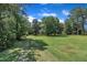 Expansive, lush green yard, featuring mature trees, offering privacy and a tranquil setting at 705 Wilsons Mills Rd, Smithfield, NC 27577