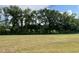 Grassy backyard framed by lush trees, offering privacy and a serene natural backdrop at 116 Oakfield Trace Dr, Four Oaks, NC 27524