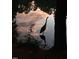 Silhouette of a heron standing near water with a beautiful sky reflection at 13 Boxwood Dr, Durham, NC 27713