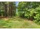 Lush green property line surrounded by mature trees, offering privacy and natural beauty at 131 Abacos Ct, Clayton, NC 27520