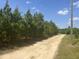 View of long dirt road surrounded by a peaceful tree lined border under a clear blue sky at 248-A Gilbert Rd, Benson, NC 27504