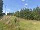 Scenic view of lush green property with mature trees and clear blue skies in the background at 248-A Gilbert Rd, Benson, NC 27504