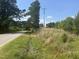 View of a quiet road alongside lush greenery and mature trees under a bright, sunny sky at 248-A Gilbert Rd, Benson, NC 27504