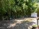 Large, lush backyard featuring privacy landscaping and a storage shed at 505 Drolmond Dr, Raleigh, NC 27615