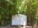 A bright, white storage shed enclosed by a wall of green bamboo at 505 Drolmond Dr, Raleigh, NC 27615