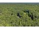 Aerial view highlighting a property surrounded by dense trees, emphasizing the peaceful and secluded setting at 5216 Woods End Rd, Hillsborough, NC 27278