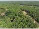 Land for development featuring a winding road, dense trees and a pond, ideal for a private community at 6736 Brixley Crest Ct, Raleigh, NC 27614