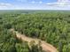 Aerial view of the lush, expansive wooded area, showcasing the property's tranquil location at 6736 Brixley Crest Ct, Raleigh, NC 27614