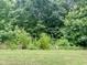 View of the spacious backyard with mature trees that enhance the appeal of the property at 857 Stable Fern Dr, Fuquay Varina, NC 27526
