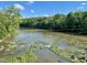 Open river view with vegetation and visible power lines against a blue sky at 94 Bynum Church Rd, Pittsboro, NC 27312