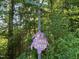 Interesting Turtle Speed sign at the corner of Bynum and 1757 Bynum Rd at 94 Bynum Church Rd, Pittsboro, NC 27312