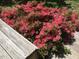 Lush, vibrant pink azalea bushes accent the deck area, enhancing the outdoor space at 1040 Ivy Ln, Cary, NC 27511