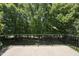 View of the outdoor patio, offering a serene view of lush green trees at 12257 Beestone Ln, Raleigh, NC 27614