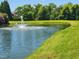 Scenic pond view with fountain and meticulously maintained grassy shore at 1413 Lily Creek Dr, Cary, NC 27518