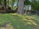 Large backyard with swing set and a large tree providing shade at 2705 Royster St, Raleigh, NC 27608