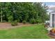 View of the backyard with healthy lawn, mature trees, and landscaping at 273 Millennium Dr, Pittsboro, NC 27312