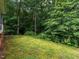 Expansive backyard with dense trees and a mossy slope, providing a private natural setting at 3652 E Cotton Gin Dr, Clayton, NC 27527