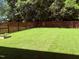 A wide expanse of green grass surrounded by a wooden privacy fence at 451 N Lincoln St, Benson, NC 27504