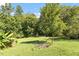 Expansive backyard featuring lush greenery at 506 Currin St, Durham, NC 27703