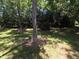 Backyard with mature trees and grass providing a peaceful outdoor space at 5893 Shady Grove Cir, Raleigh, NC 27609