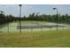 Outdoor community tennis courts with black fencing surrounded by green grass and trees at 8 Pin Tail Ct, Pittsboro, NC 27312