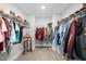 Spacious walk-in closet with organized shelving and rods for ample storage space at 8341 Running Fern Way, Willow Springs, NC 27592