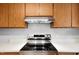 Close up of stainless steel electric range and hood at 113 Twisted Oak Pl, Durham, NC 27705