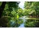 Scenic pond featuring a fountain centerpiece surrounded by lush greenery, and mature trees at 113 Twisted Oak Pl, Durham, NC 27705