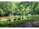 Beautiful pond with geese and lush landscaping creating a serene and inviting natural environment at 113 Twisted Oak Pl, Durham, NC 27705