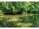 Peaceful pond with geese swimming, reflecting the lush greenery, offering a serene view at 113 Twisted Oak Pl, Durham, NC 27705