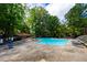 Large community pool surrounded by lounge chairs and lush greenery at 113 Twisted Oak Pl, Durham, NC 27705