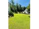 Lush green backyard with mature trees, offering a serene and private outdoor space at 1344 Legend Oaks Dr, Chapel Hill, NC 27517
