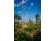 Picturesque view of a windmill surrounded by lush greenery and flowering plants, adding rural charm at 160 Serene Xing, Fuquay Varina, NC 27526