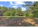 Spacious backyard featuring green grass, foliage and a small storage shed at 1809 Bowling Rd, Fuquay Varina, NC 27526