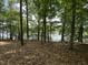 A view shows the backyard with trees, greenery, and a glimpse of the lake at 2011 Bowmantown Rd, Roxboro, NC 27574