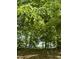 Lush trees and foliage showing access to water at 2011 Bowmantown Rd, Roxboro, NC 27574
