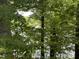 A serene lake view is visible through the lush trees, offering a tranquil natural setting at 2011 Bowmantown Rd, Roxboro, NC 27574