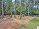 Community playground with climbing structures and soft landing at 2626 Nassau Trce, Fuquay Varina, NC 27526