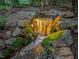 Backyard features a small waterfall surrounded by moss covered rocks and lush greenery at 3606 Dairy Pond Pl, Durham, NC 27705