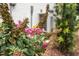 Close-up of blooming flowers and a butterfly in the garden at 4412 Pamlico Dr, Raleigh, NC 27609