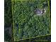 Aerial view of a home in a forest setting, highlighting the vast property outlined with approximate property lines at 698 Maple Springs Ln, Bear Creek, NC 27207