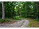 View of the winding gravel driveway leading to a secluded property surrounded by dense trees and lush greenery at 698 Maple Springs Ln, Bear Creek, NC 27207
