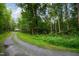View of the gravel driveway leading to a charming home nestled amidst dense trees and lush greenery at 698 Maple Springs Ln, Bear Creek, NC 27207
